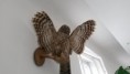/album/fotogaleria-priroda-karpat/a20141003-123804-jpg/