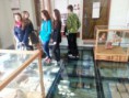 /album/fotogaleria-curriculum-lateris-orientalis/a1397556230834-jpg/